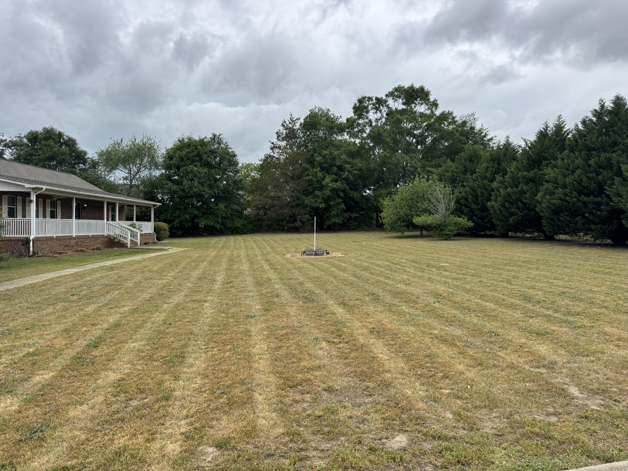 Clean mowed front lawn after service