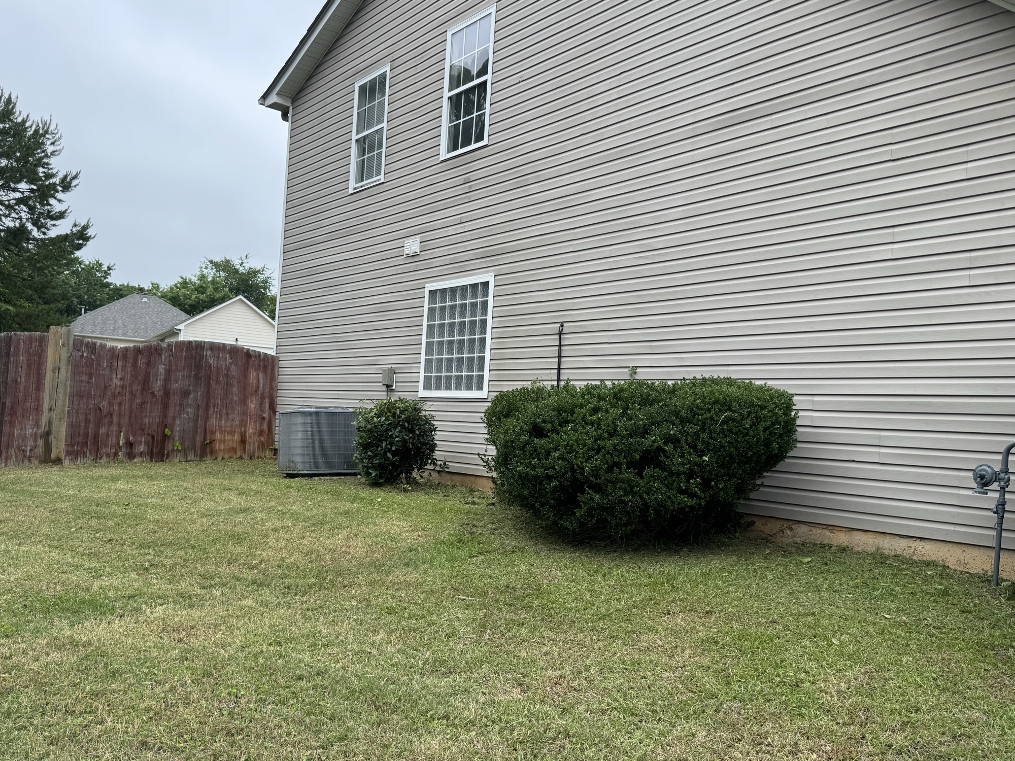 Trimmed shrubs against house siding