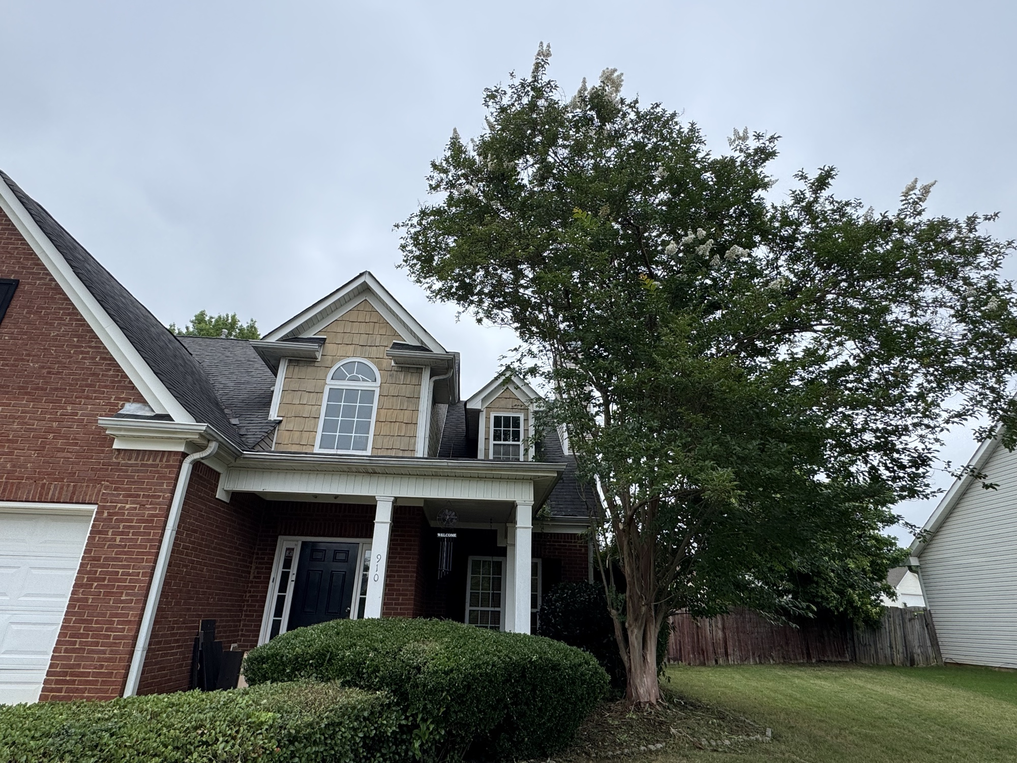 After: neatly trimmed shrubs and clean lawn