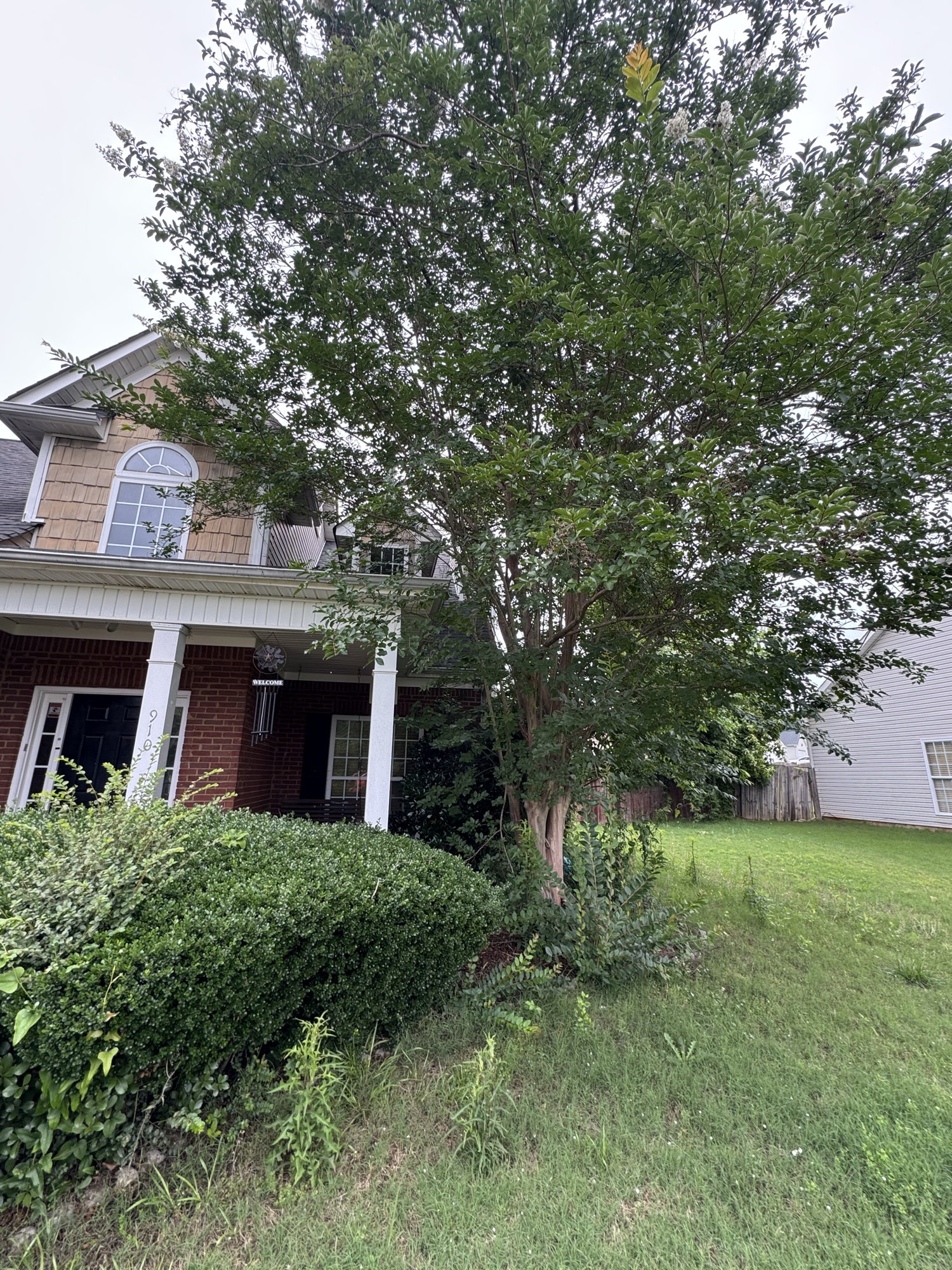 Before: overgrown shrubs and weedy beds