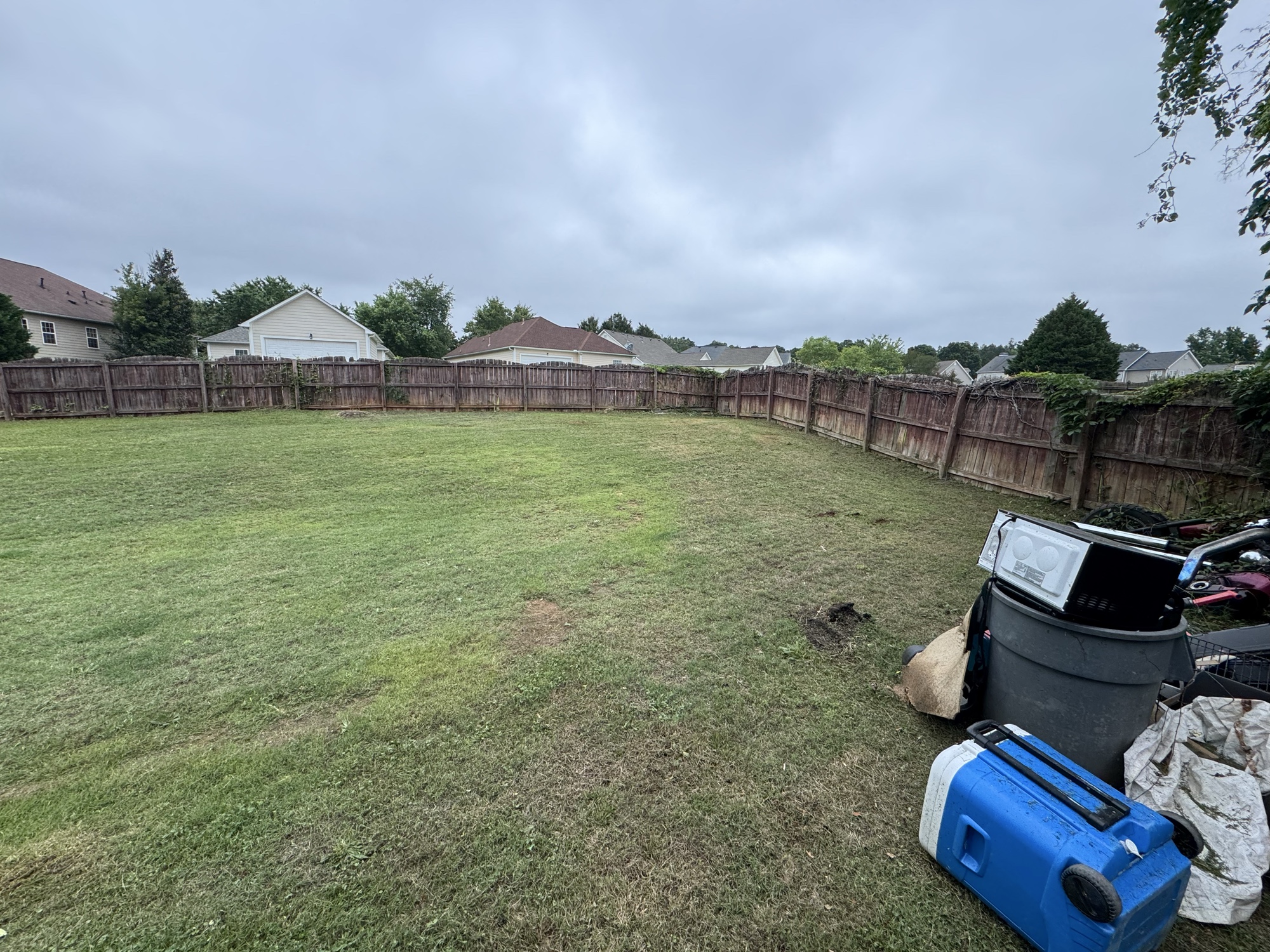 After: clean mowed backyard