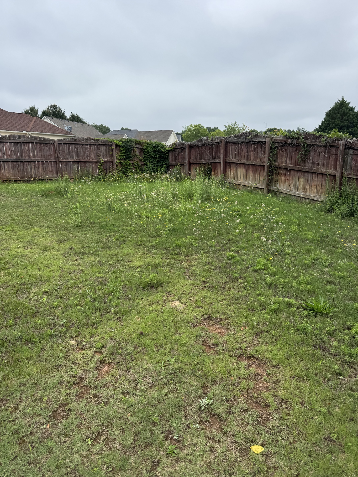 Before: tall weeds along fence line