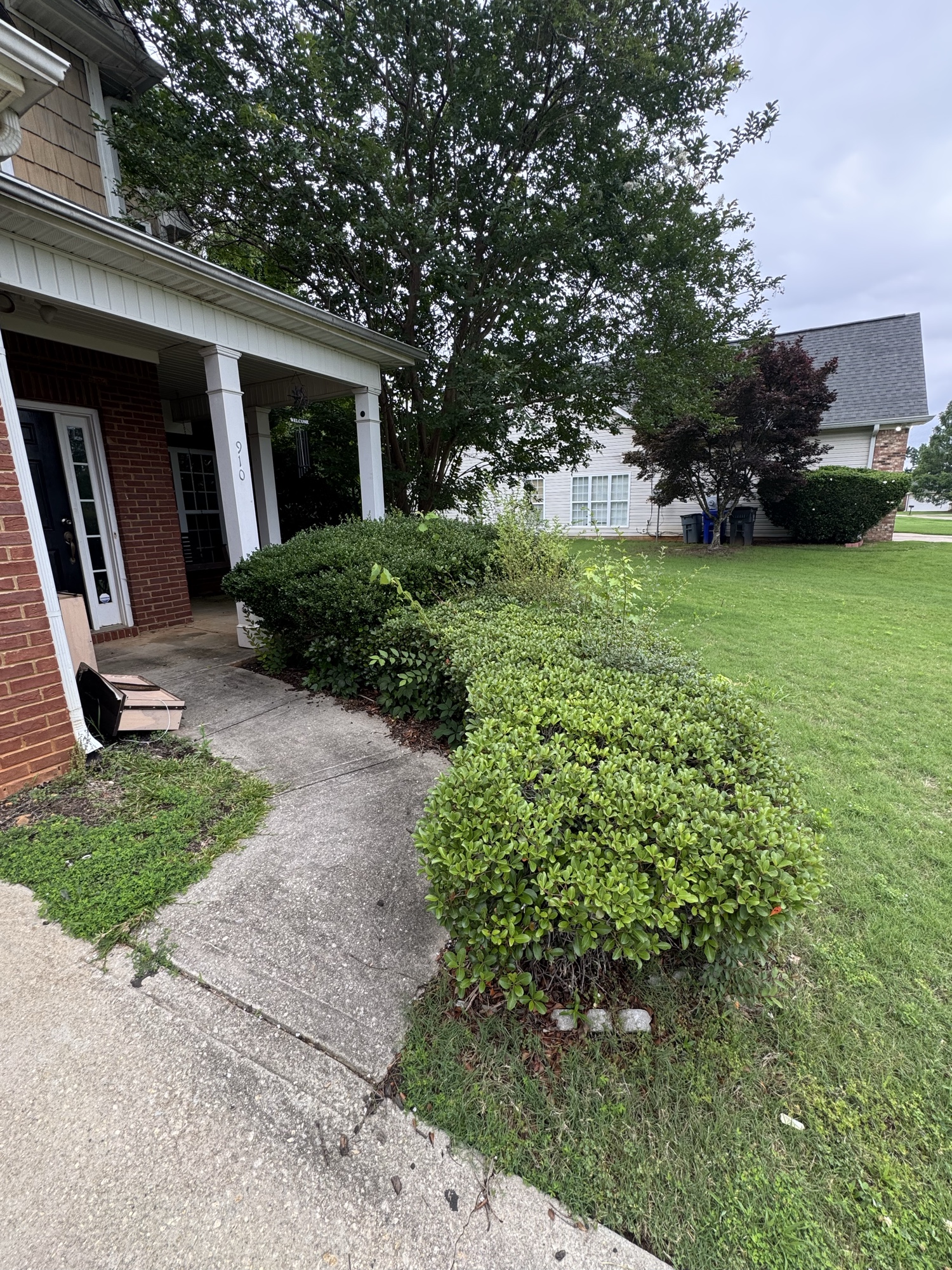 Before: tall grass and weeds on large property