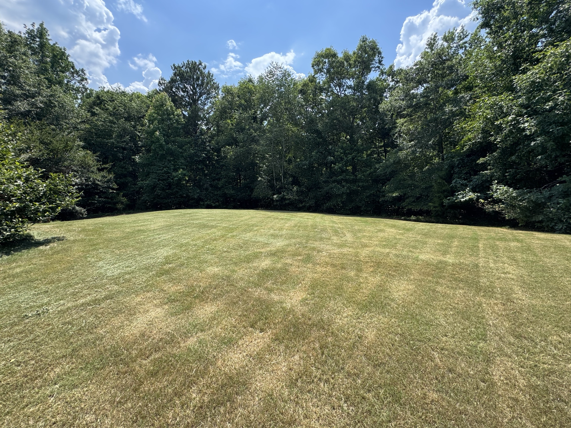 Clean mowed backyard with mowing stripes