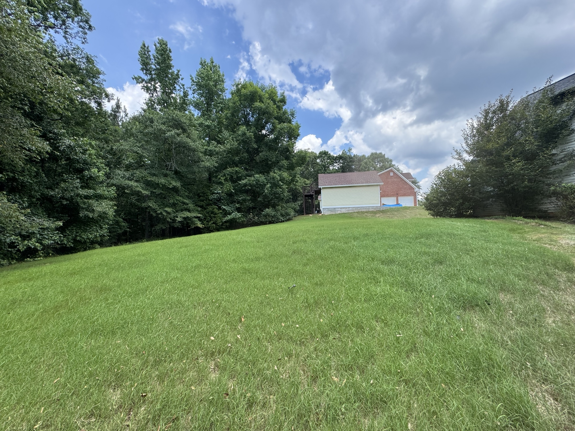 Trimmed shrubs and edged driveway